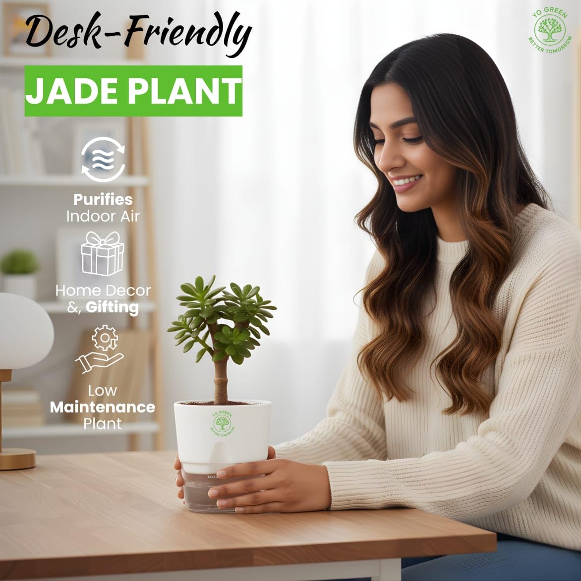 Yo Green Ficus Bonsai Live Plant Indoor - Perfect Bonsai Plant for Home Indoor -Bonsai Tree for Office, Bonsai Plants Gift for Beginners (10 inches-12 inches)