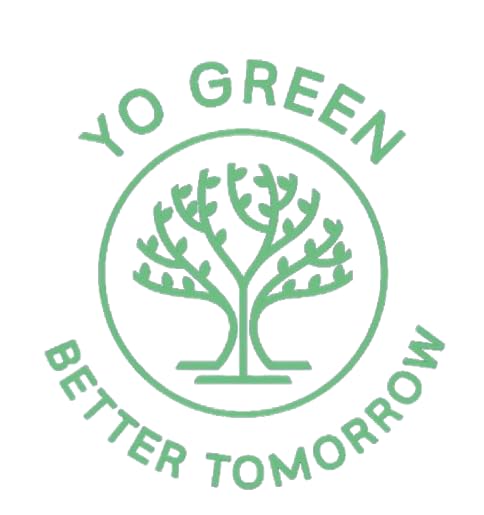 Yo Green succulent plant for Living Room - Healthy Indoor Feng Shui Plant, Low Maintenance, Air Purifying, Home Decor, Gifting, office desk