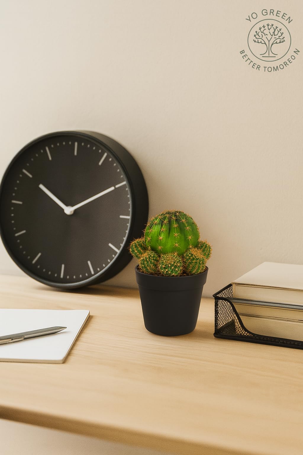 Yo Green succulent plant for Living Room - Healthy Indoor Feng Shui Plant, Low Maintenance, Air Purifying, Home Decor, Gifting, office desk
