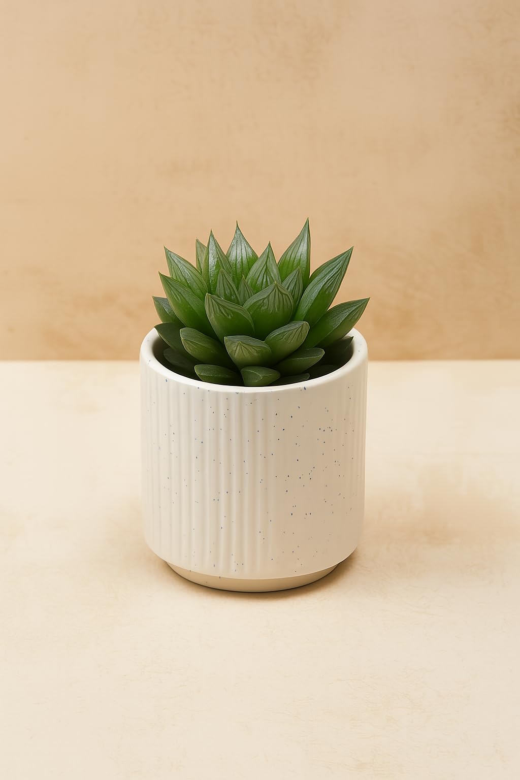 Yo Green succulent plant for Living Room - Healthy Indoor Feng Shui Plant, Low Maintenance, Air Purifying, Home Decor, Gifting, office desk